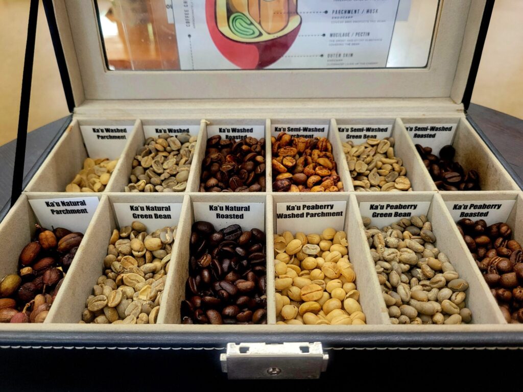 カウコーヒーミルの豆の種類